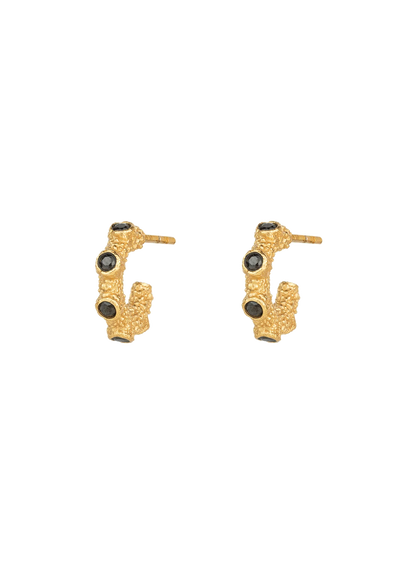 Isle of Haze Gilded Hoop Earrings - Gold