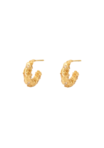 Trinket Gilded Hoop Earrings - Gold