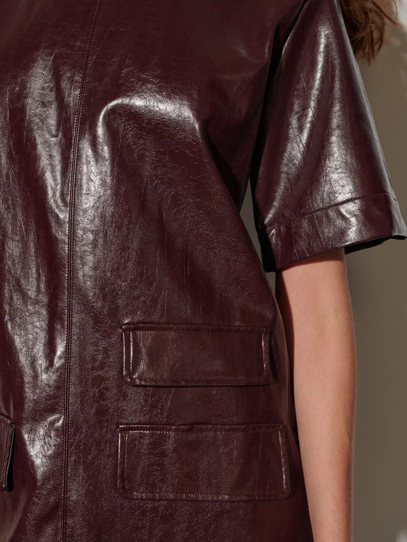 Louise Mini Dress - Mahogany Red