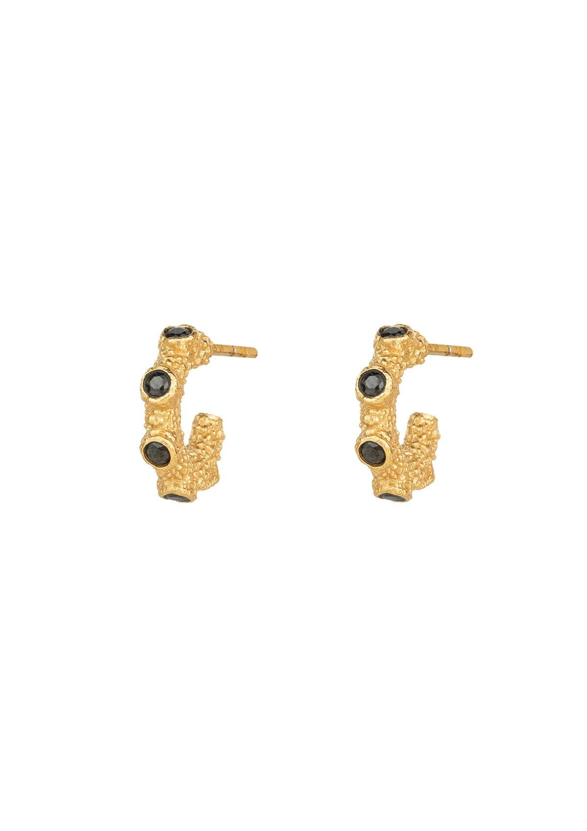 Isle of Haze Gilded Hoop Earrings - Gold