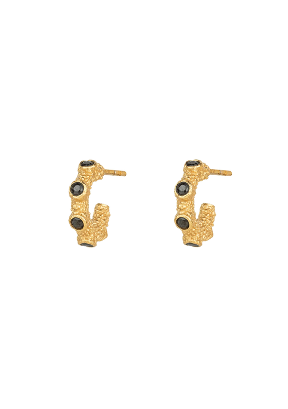 Isle of Haze Gilded Hoop Earrings - Gold