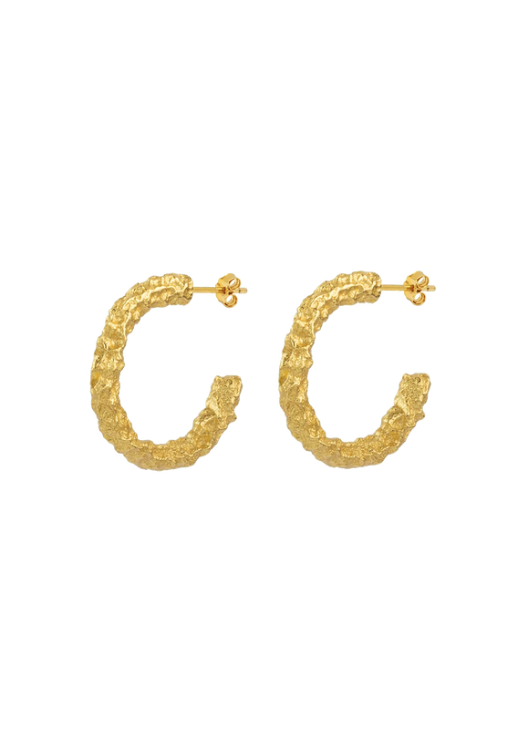 Moonstruck Gilded Hoop Earrings - Gold