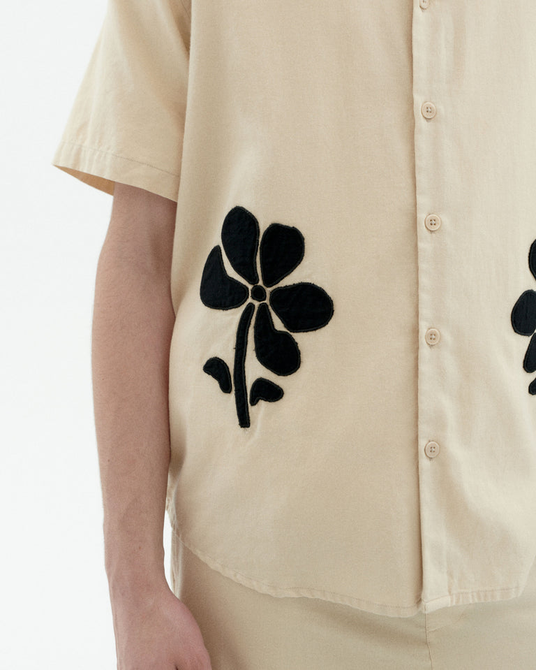 Tom Shirt - Marygold