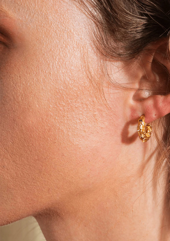 Trinket Gilded Hoop Earrings - Gold