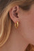 Harlow Hoops - Gold Plating