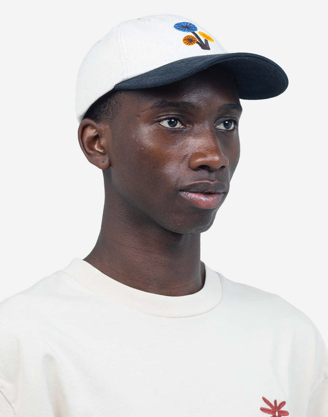 Psikea Six Panel Cap - Multi