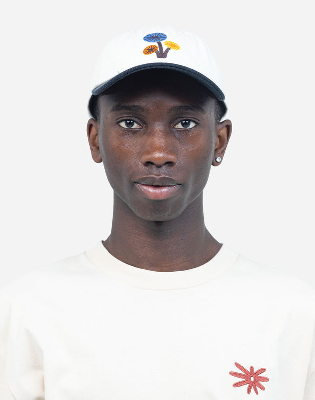 Psikea Six Panel Cap - Multi